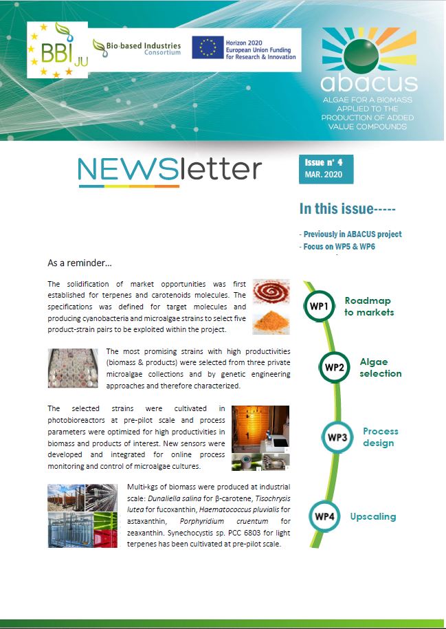Newsletter issue4_first page.JPG