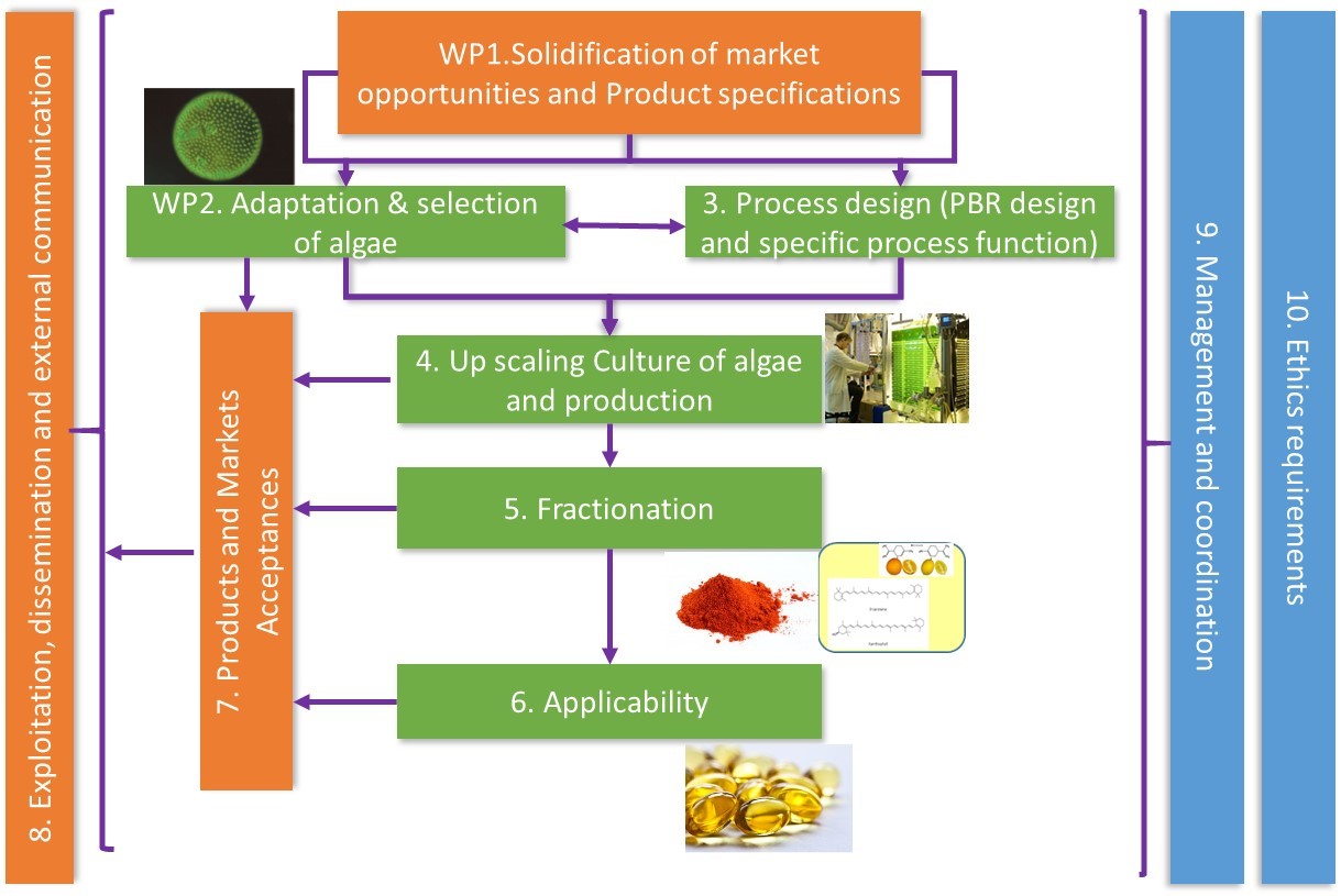 Abacus Market Link